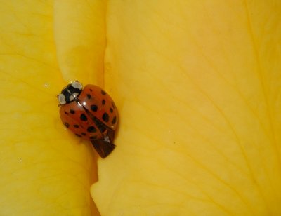 D27_6752.jpg