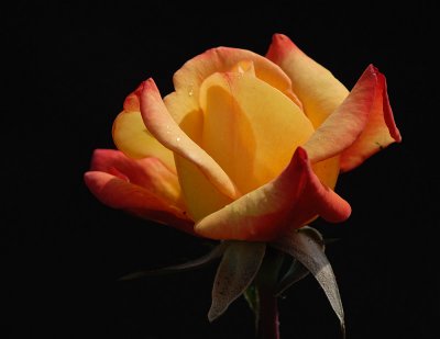 D27_6791.jpg