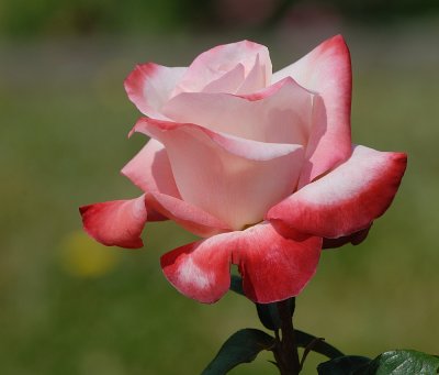 D27_6818.jpg