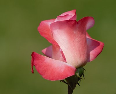 D27_6820.jpg
