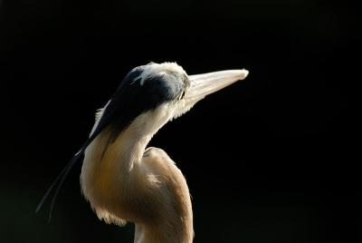 D20_2905 copy.jpg