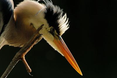 D20_2915 copy.jpg