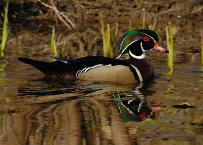 D23_2286.jpg