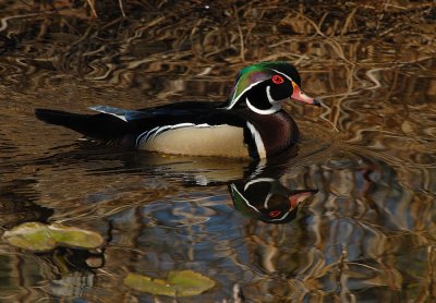 D23_2266.jpg