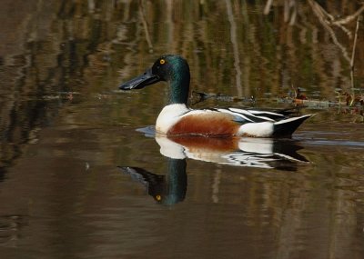 D23_2354.jpg