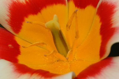 D23_3068.jpg