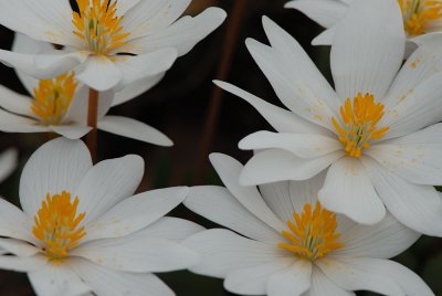 D23_3081.jpg