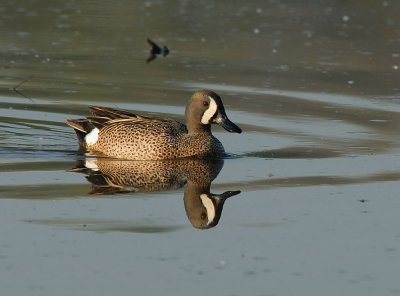 D23_6075.jpg