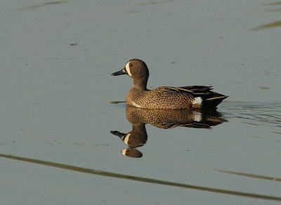 D23_5933.jpg