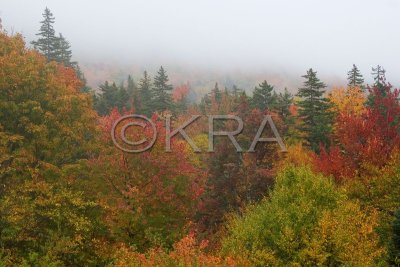 Bear Notch Road 002(10-07).jpg