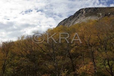 Cannon Mt Cliffs 003(10-07).jpg