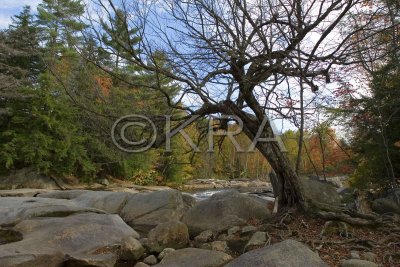 Cascade Park - North Woodstock 018(10-07).jpg