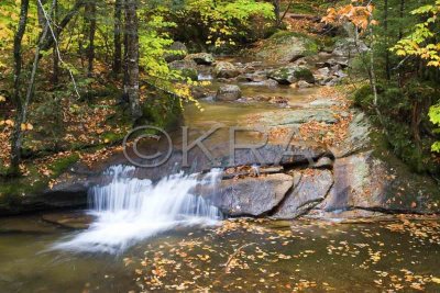 Flowing Water - The Basin 015(10-07).jpg