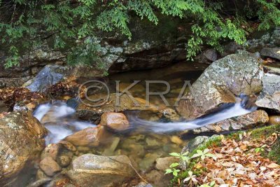 Flowing Water - The Basin 017(10-07).jpg