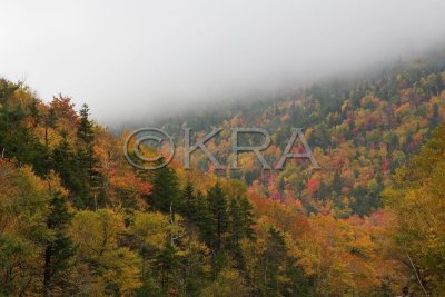 g3/90/215090/3/89379543.pa1dYLYA.jpg