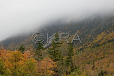 g3/90/215090/3/89379544.1BtOv4xB.jpg