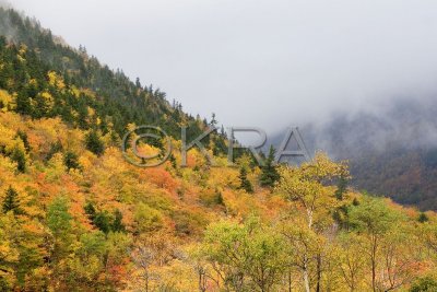 g3/90/215090/3/89379549.eksko8qL.jpg