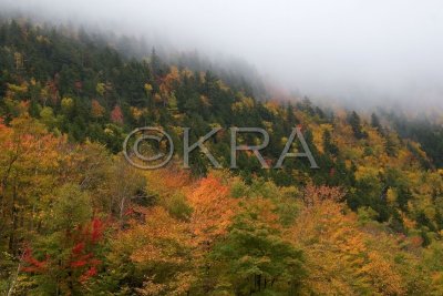 g3/90/215090/3/89379550.f77R40iG.jpg