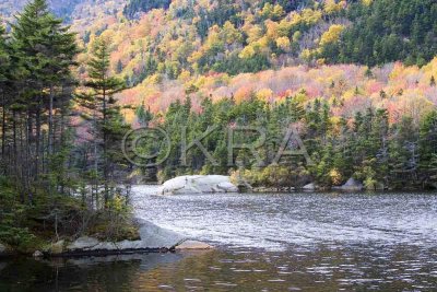 Kinsman Notch - Beaver Pond 005(10-07).jpg