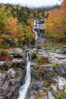 Silver Cascade 005(10-07).jpg