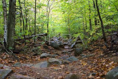 Trail To Arethusa Falls 001(10-07).jpg