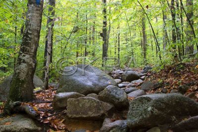 Trail To Arethusa Falls 003(10-07).jpg