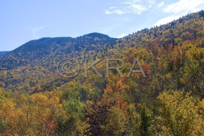 Views in Franconia Notch 003(10-07).jpg