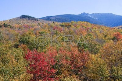 Views in Franconia Notch 011(10-07).jpg