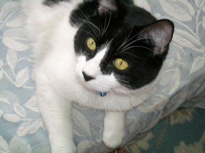 Max Jun 2004