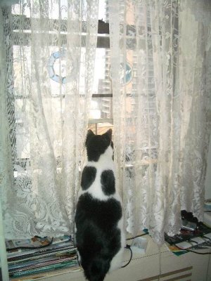 Max May 2006