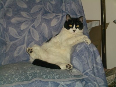 Max  - he has no shame Aug 2004