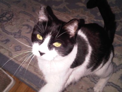 Max May 2010