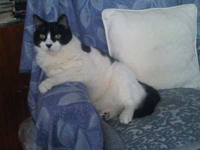 Max Jan 2009