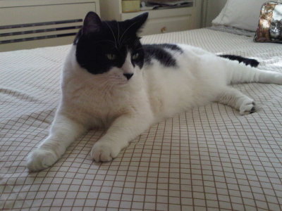 Max Nov. 2009