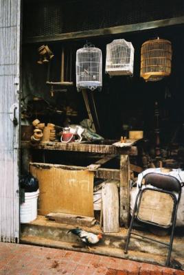 F1030036_chickenshop.jpg