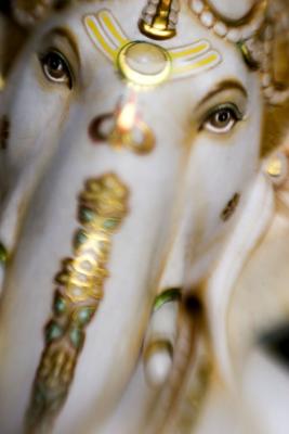 051211_spore052encomp.jpg
