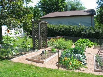 my garden 1