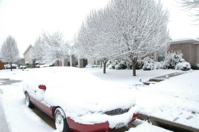 DSC_9237.JPG