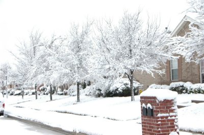 DSC_9241.JPG