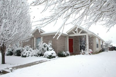DSC_9253.JPG