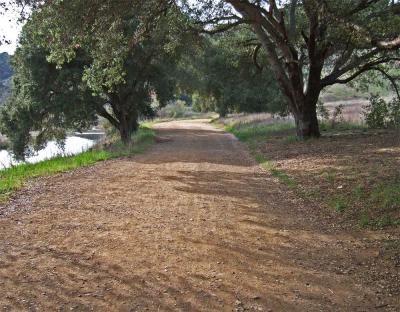 Path