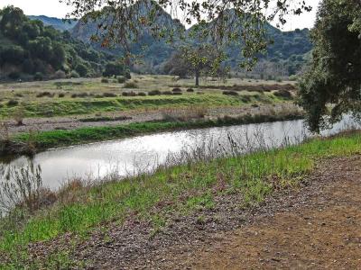 Stream