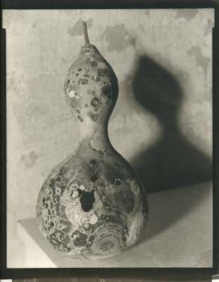 Birdhouse Gourd