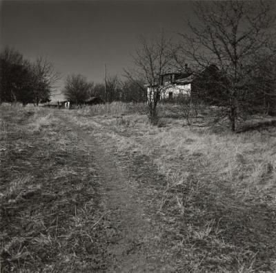 abandoned homestead at dawn