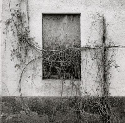 grainery window and wire