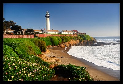 Spring Coast at Pigeon Point