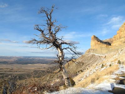 Mesa Verde