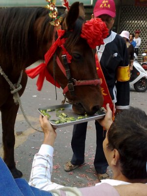 g3/90/360890/3/120115835.t61Marvv.jpg