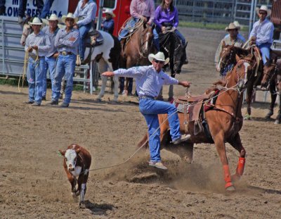 rodeo