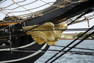 Amistad4 Sept 17 06.jpg
